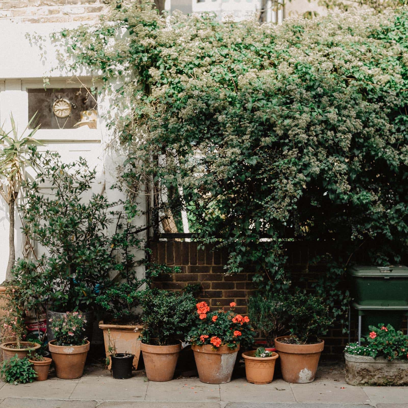 1 Create a Border of Potted Plants