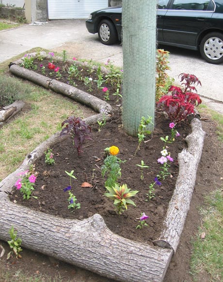 Tree Trunks Make a Natural Garden Boundary