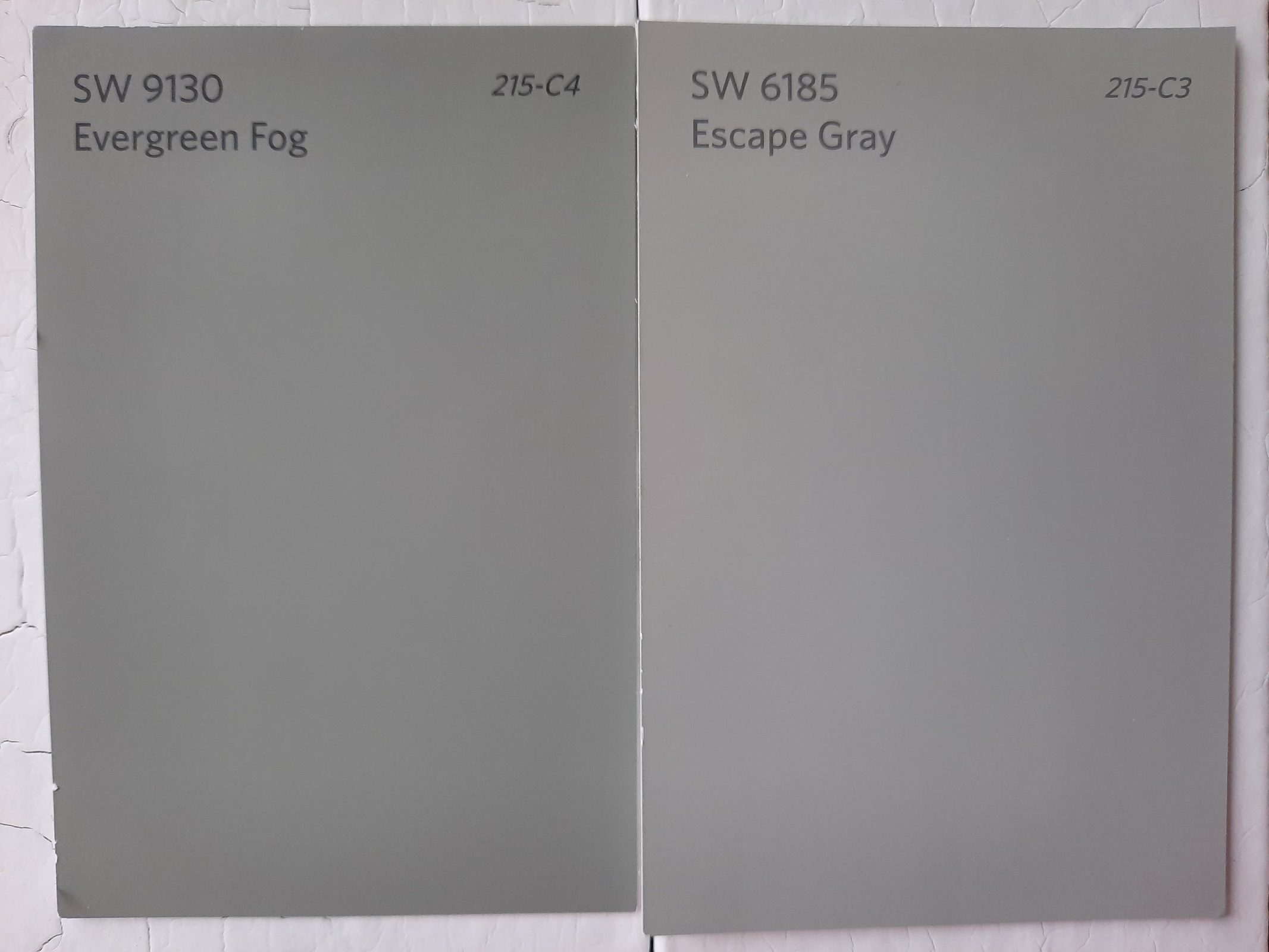 5 Evergreen Fog vs Escape Gray scaled