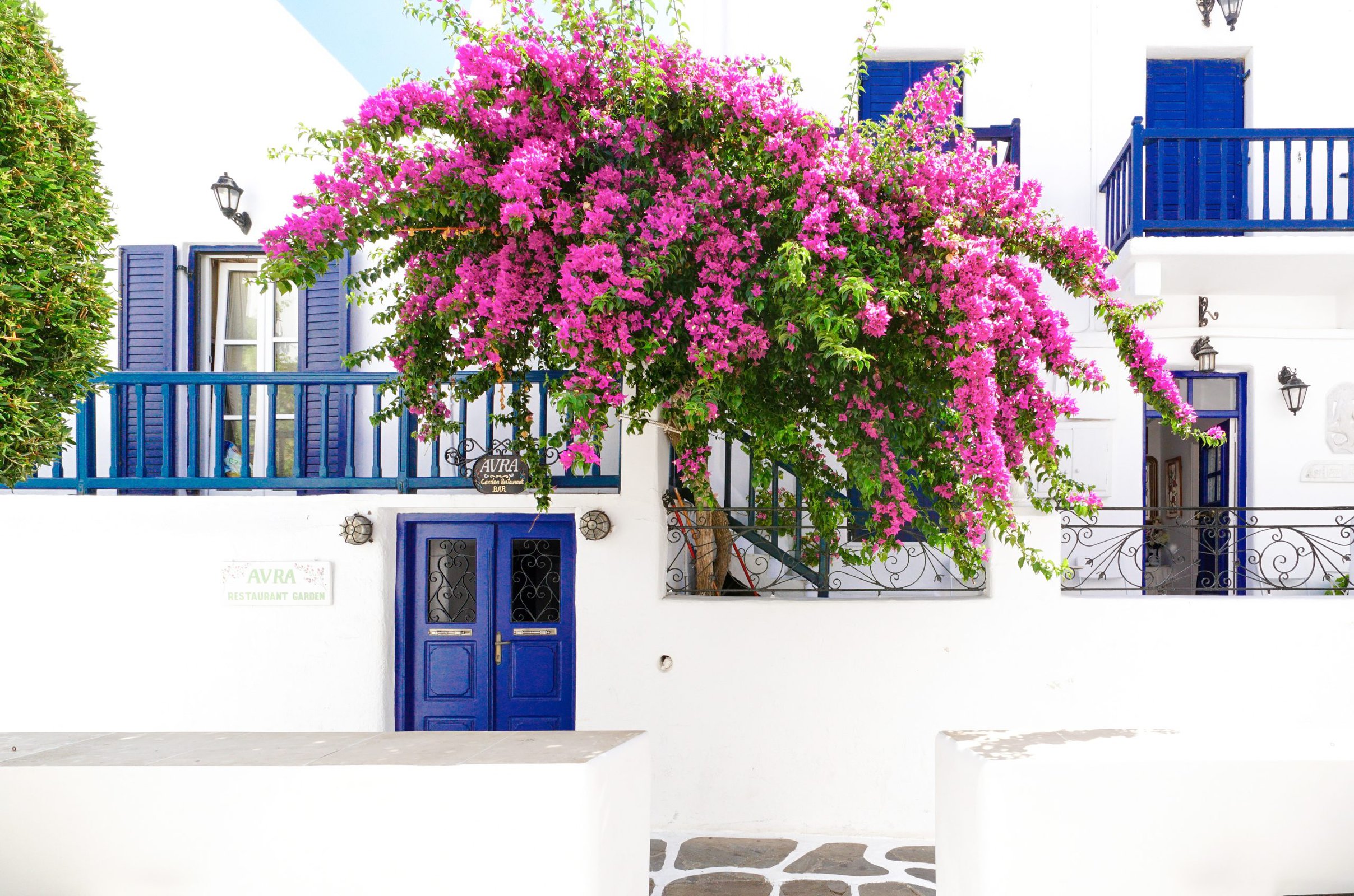  A Blue Door and Shutters Look Bold on a White House scaled